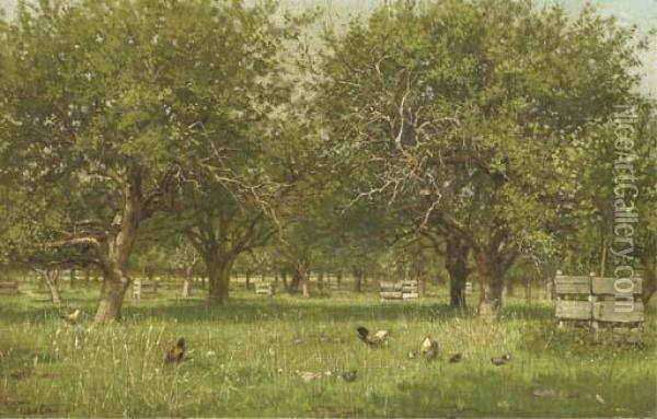 Chickens In An Orchard Oil Painting - Willem De Famars Testas