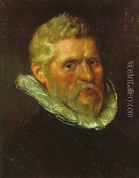 Portrait Of A Bearded Gentleman Wearing A Black Tunic And White Ruff Oil Painting - Cornelis Ketel