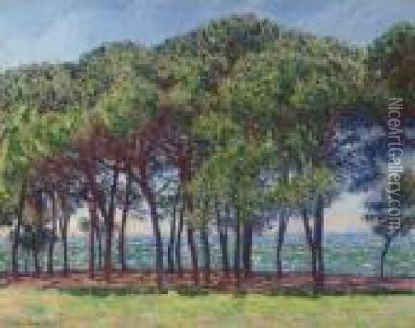 Pins, Cap D'antibes Oil Painting - Claude Oscar Monet
