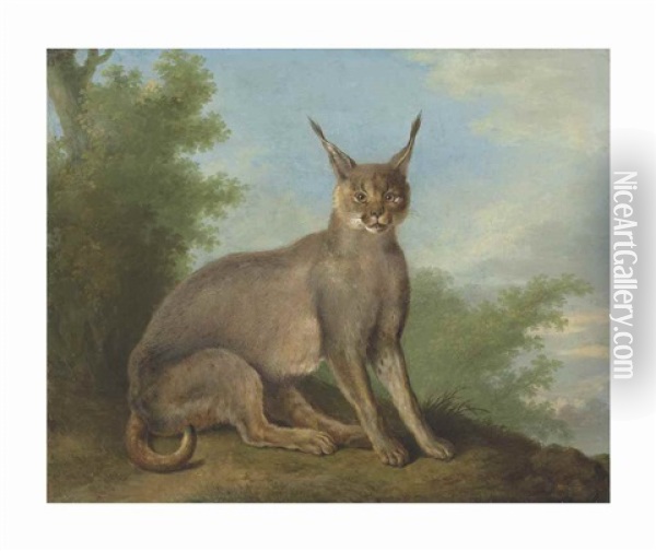 A Caracal In A Landscape Oil Painting - Jacques-Laurent Agasse
