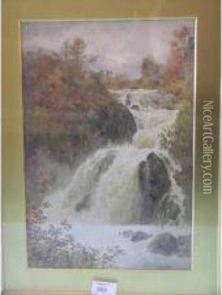 View Of Colwith Force Oil Painting - Cuthbert Rigby