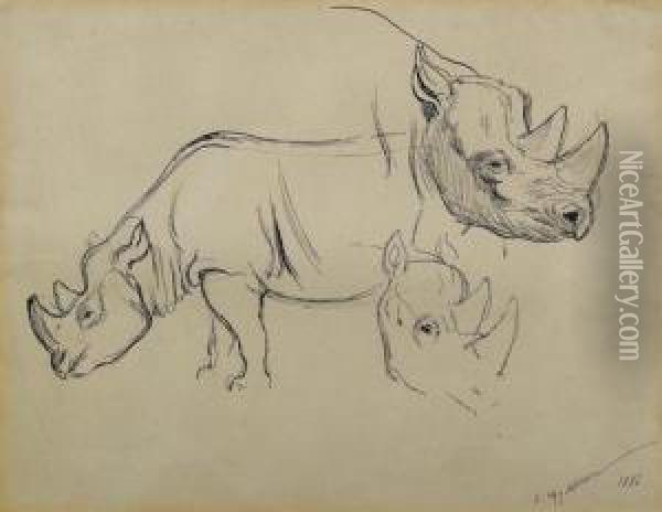 Study Of Rhinoceri. 1886 Oil Painting - Ewert Louis Van Muyden