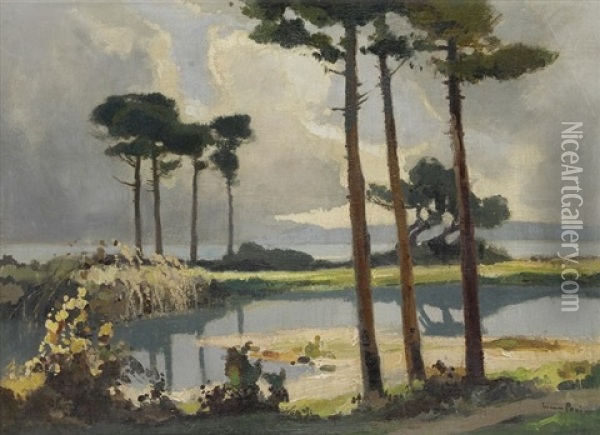 Corse, L'embouchure Du Liamone Oil Painting - Lucien Peri