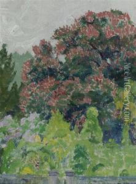 Trees. 1907. Oil Painting - Sigismund Righini
