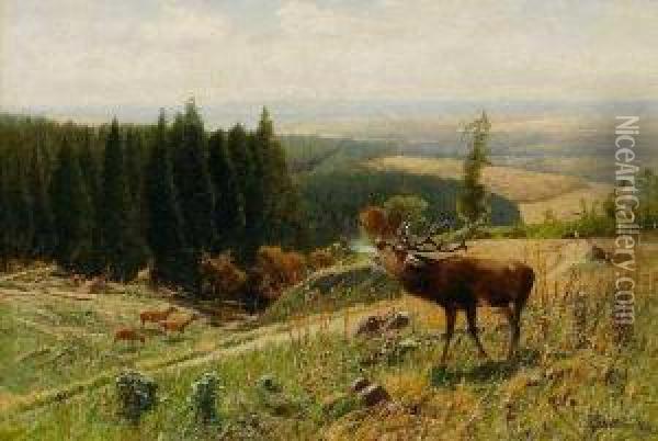 Rohrender Hirsch Oil Painting - Christian Johann Kroner