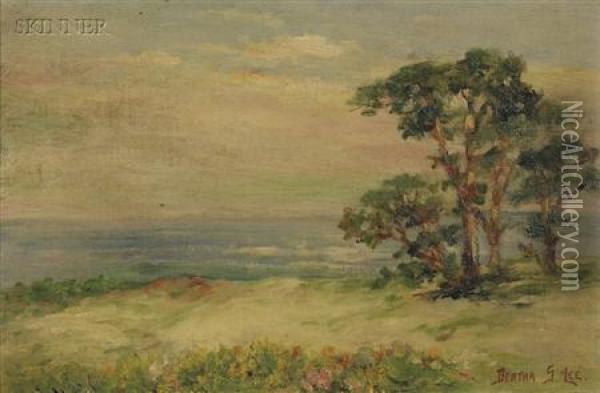 A View Of The Coast Oil Painting - Bertha Stringer Lee