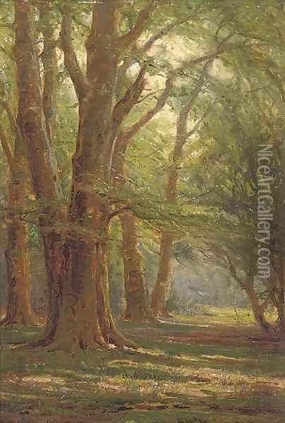 A sunlit forest Oil Painting - Frederik Golden Short