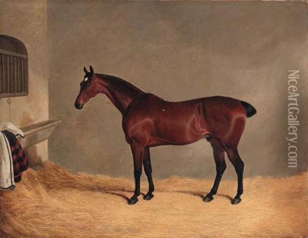 A Bay Horse In A Stable Oil Painting - John Frederick Herring Snr