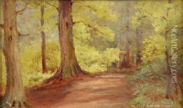 Scenes In The New Forest Both Oil Painting - Frederik Golden Short