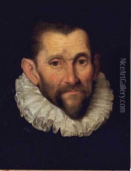 Portrait De Gentilhomme A La Fraise Oil Painting - Federico Barocci