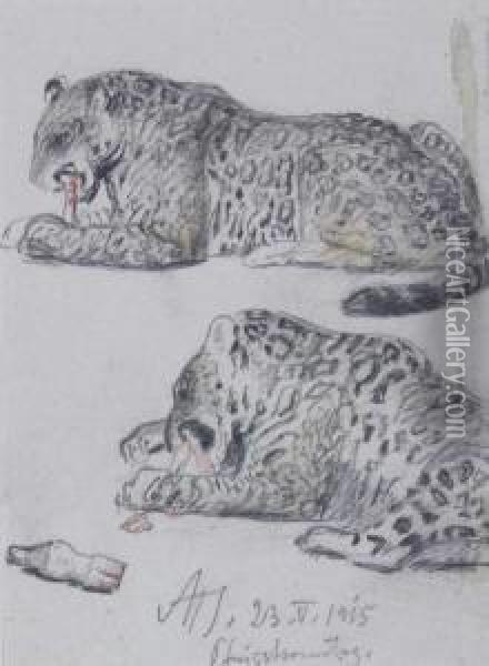 Zwei Liegende Leoparden Oil Painting - Max Seliger