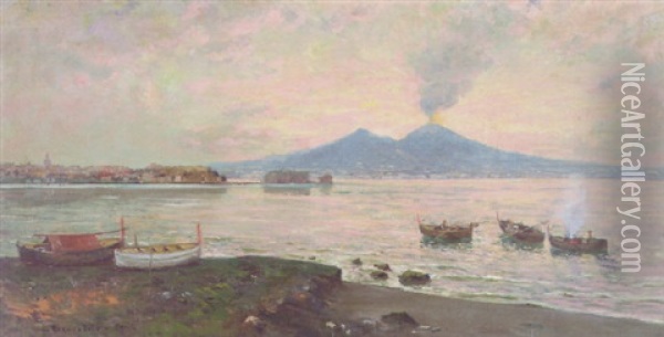 View Of Naples With Mt. Vesuvius In The Distance Oil Painting - Carlo Brancaccio