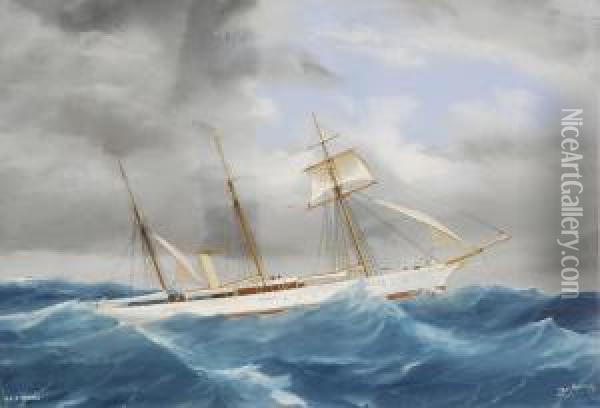 Ritratto Dello Steam Yacht Fedora In Navigazione Oil Painting - Antonio de Simone
