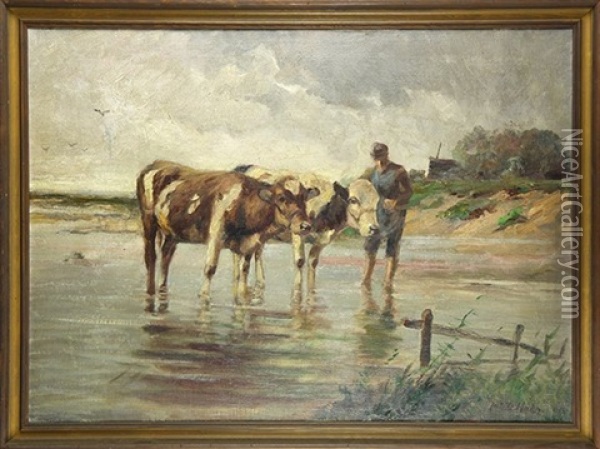 Cattle Bathing Oil Painting - Johann Daniel Holz