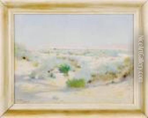 Le Desert En Fleur-algerie Oil Painting - Paul Alexandre Alfr. Leroy