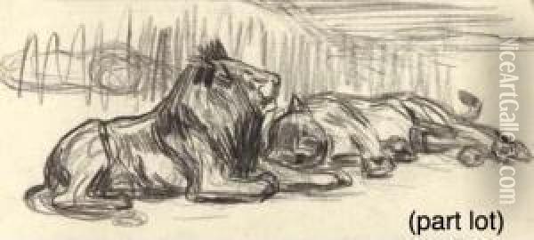 A Collection Of 26 Drawings Depicting Studies Of Wild And Tameanimals Oil Painting - Jan van Hemessen