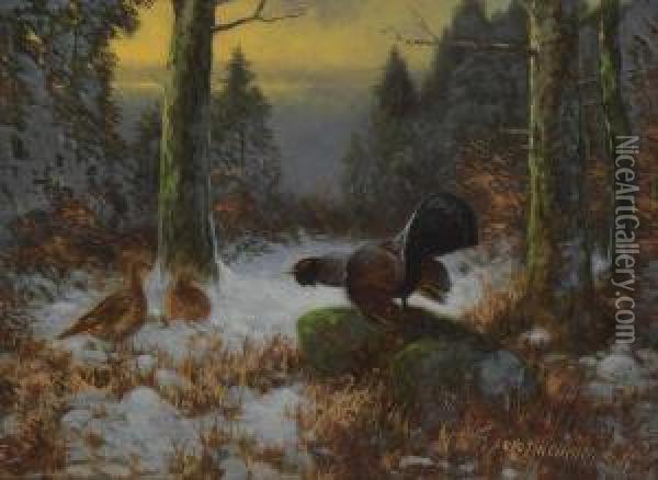 Balzender Auerhahn Im Winterwald Oil Painting - Otto Scheuerer