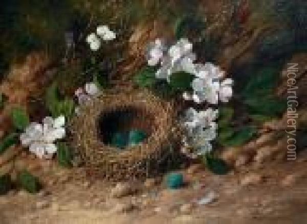 Still Life Of A Bird's Nest And Flowers On A Bank Oil Painting - William Cruickshank