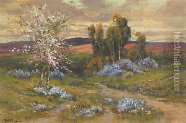 Flowers In The Hills Oil Painting - Manuel Valencia