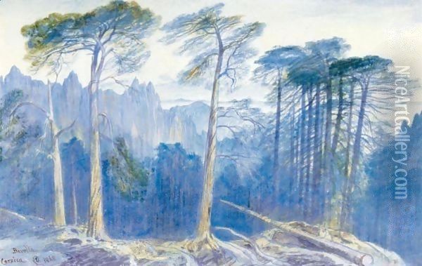 The Pine Forest Of Bavella, Corsica Oil Painting - Edward Lear