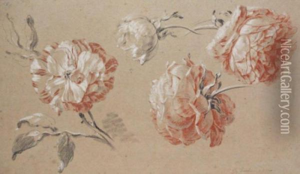 Etude De Roses Oil Painting - Jean-Baptiste Huet I