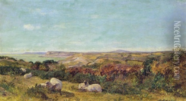 Coast Near Mortehoe, Devon Oil Painting - George Shalders