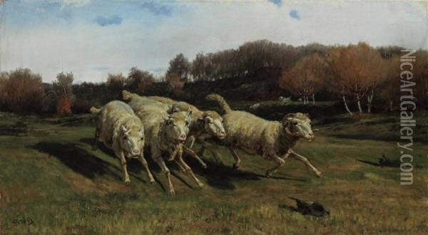 Fleeing Sheep Oil Painting - Stefano Bruzzi