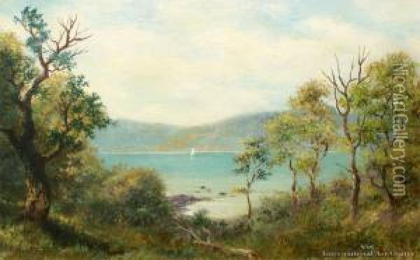 The Edge Of The Bush, Colac Bay, Southland Oil Painting - John Elder Moultray