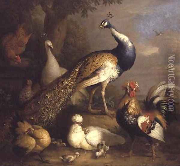 Peacock, Peahen and Poultry in a Landscape Oil Painting - Tobias Stranover