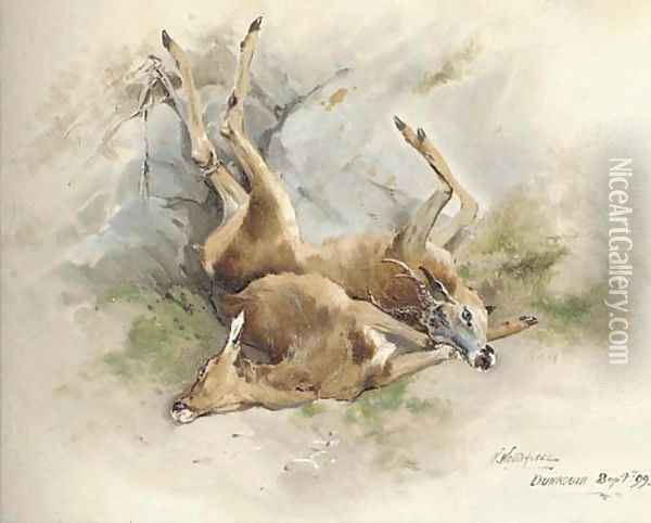 Dead Stags Oil Painting - William Woodhouse