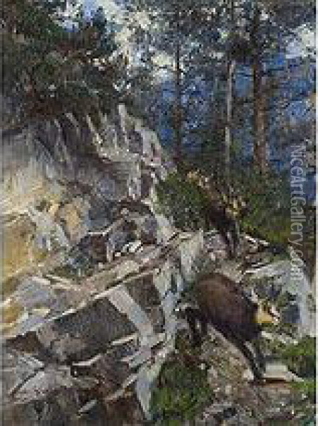 Gemsen Im Felsigen Hochwald Oil Painting - Rudolf Schramm-Zittau