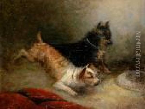 Two Terriers Oil Painting - George Armfield