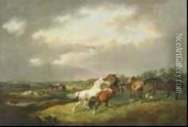 Stallions Fighting In A Extensive Landscape With Cattle And Town In The Distance Oil Painting - Henry Calvert
