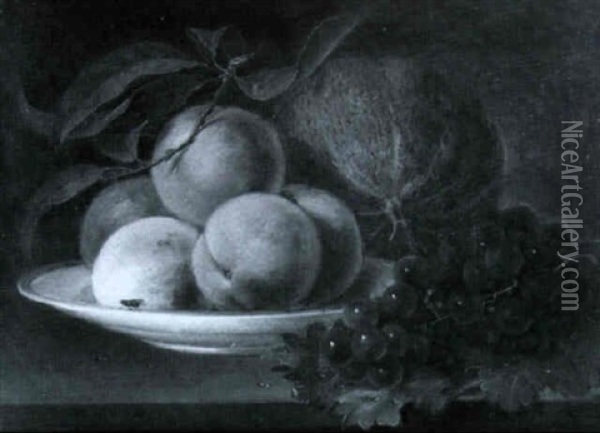 Peaches, Grapes And Melon Oil Painting - George Forster