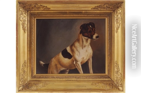 Study Of A Jack Russell Oil Painting - John Arnold Alfred Wheeler
