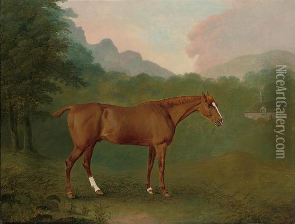 A Chestnut Hunter In A Wooded Landscape Oil Painting - John Boultbee