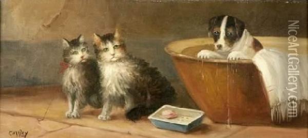 Chats Et Chiot Oil Painting - Charley
