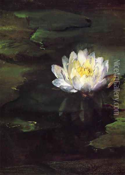 Water Lily Study From Nature Oil Painting - John La Farge