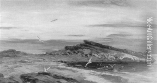 Meereskuste Mit Landzunge Und Mowen Bei Abendrot Oil Painting - Auguste Henry Berthoud
