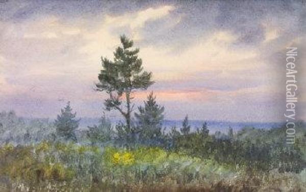 Twilight Through Trees Oil Painting - William Percy French