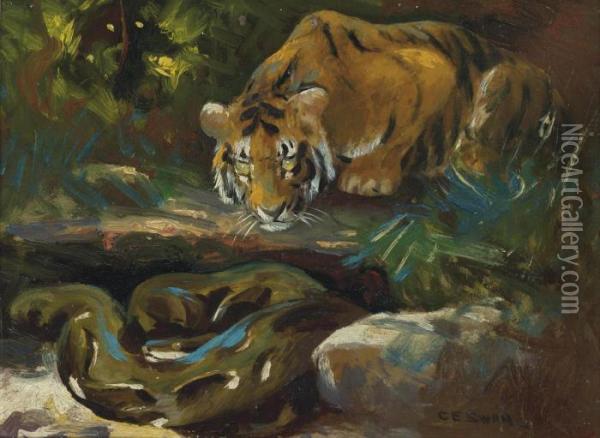 Tiger Cub And Python Oil Painting - Cuthbert Edmund Swan