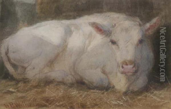 'study-white Calf' Signed 3.5 X 5.5in Oil Painting - Henry Brittan Willis