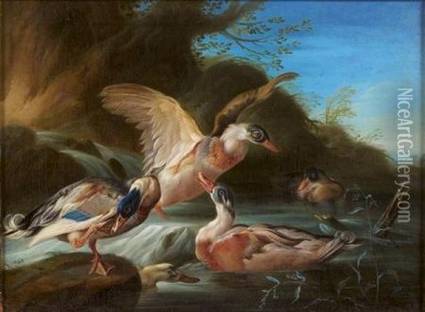 Canards Sauvages Dans Une Riviere Oil Painting - Giorgio Duranti