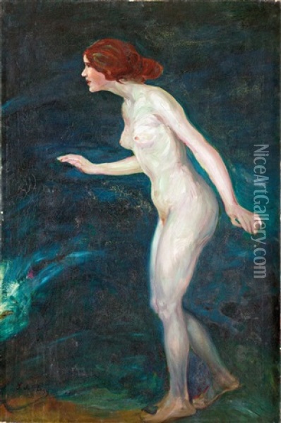 Allo Akt Oil Painting - Zsigmond Nagy Gyuegyei