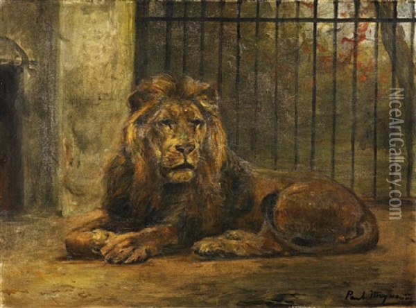 Lowe Im Berliner Zoo Oil Painting - Paul Friedrich Meyerheim