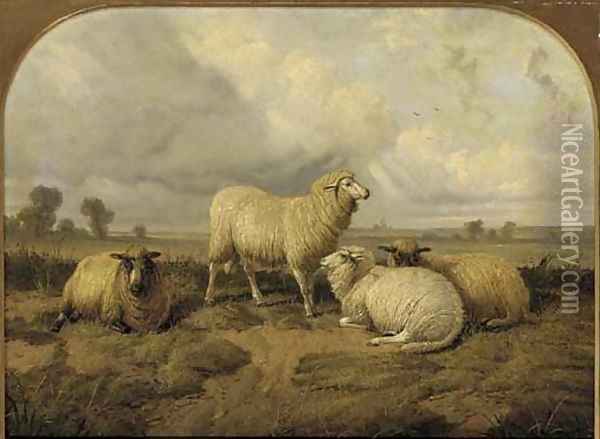 Sheep resting in a meadow Oil Painting - Thomas Sidney Cooper