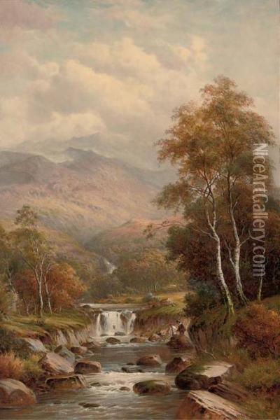Falls, Near Aberystwyth Oil Painting - William Henry Mander