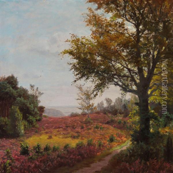 Moor Landscape Oil Painting - Peter Busch