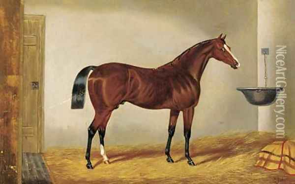 A brown hunter in a stable Oil Painting - Edwin Loder