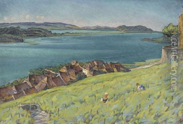Blick Oberhalb Von Ligerz Auf Den Bielersee Oil Painting - Burkhard Mangold